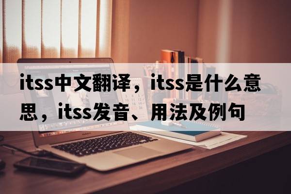 ITSS中文翻譯，ITSS是什么意思，ITSS發(fā)音、用法及例句