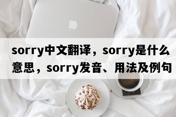 sorry中文翻譯，sorry是什么意思，sorry發(fā)音、用法及例句