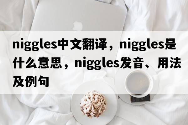 niggles中文翻譯，niggles是什么意思，niggles發(fā)音、用法及例句