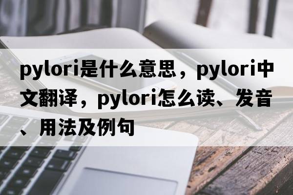 pylori是什么意思，pylori中文翻譯，pylori怎么讀、發(fā)音、用法及例句