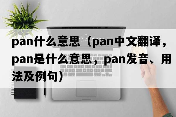 pan什么意思（pan中文翻譯，pan是什么意思，pan發(fā)音、用法及例句）