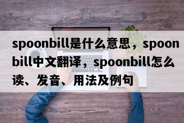 spoonbill是什么意思，spoonbill中文翻譯，spoonbill怎么讀、發(fā)音、用法及例句
