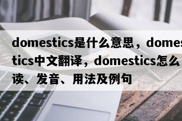 domestics是什么意思，domestics中文翻譯，domestics怎么讀、發(fā)音、用法及例句