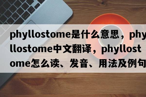phyllostome是什么意思，phyllostome中文翻譯，phyllostome怎么讀、發(fā)音、用法及例句