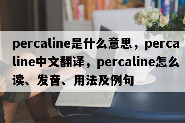 percaline是什么意思，percaline中文翻譯，percaline怎么讀、發(fā)音、用法及例句