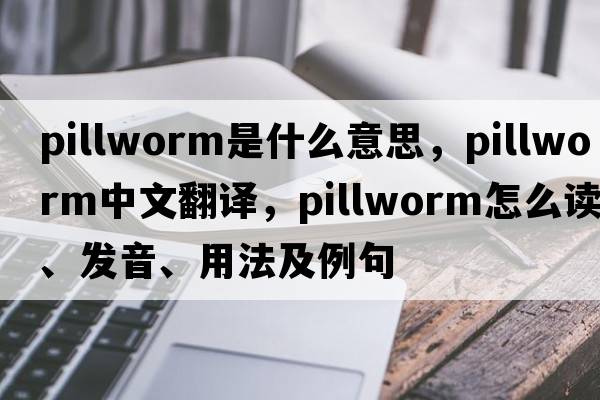 pillworm是什么意思，pillworm中文翻譯，pillworm怎么讀、發(fā)音、用法及例句