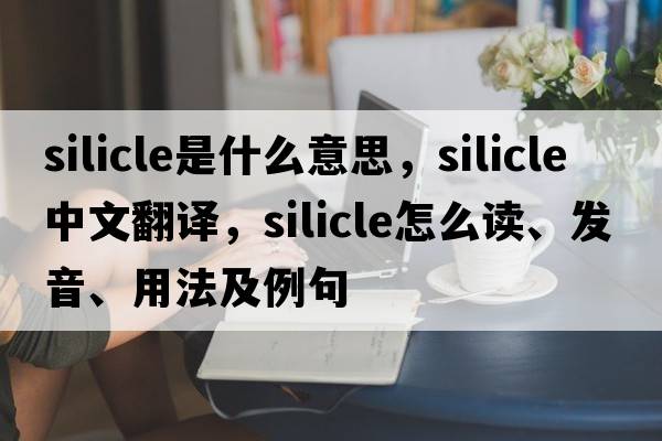 silicle是什么意思，silicle中文翻譯，silicle怎么讀、發(fā)音、用法及例句