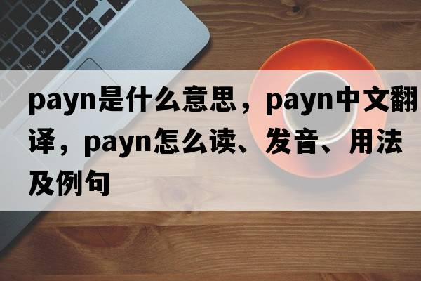 Payn是什么意思，Payn中文翻譯，Payn怎么讀、發(fā)音、用法及例句