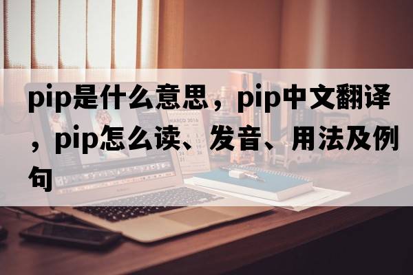 pip是什么意思，pip中文翻譯，pip怎么讀、發(fā)音、用法及例句