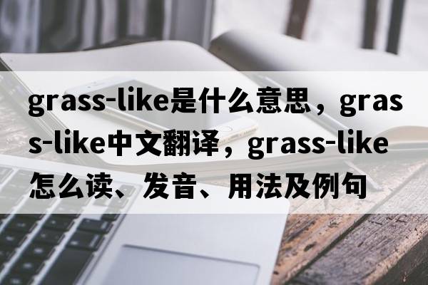 grass-like是什么意思，grass-like中文翻譯，grass-like怎么讀、發(fā)音、用法及例句