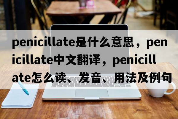 penicillate是什么意思，penicillate中文翻譯，penicillate怎么讀、發(fā)音、用法及例句