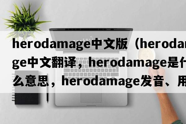 herodamage中文版（herodamage中文翻譯，herodamage是什么意思，herodamage發(fā)音、用法及例句）