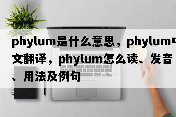 phylum是什么意思，phylum中文翻譯，phylum怎么讀、發(fā)音、用法及例句