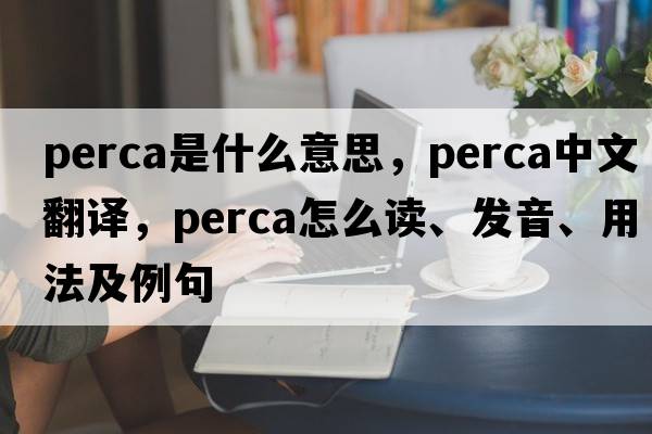 Perca是什么意思，Perca中文翻譯，Perca怎么讀、發(fā)音、用法及例句