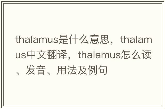 thalamus是什么意思，thalamus中文翻譯，thalamus怎么讀、發(fā)音、用法及例句