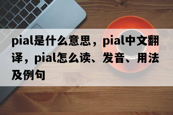 pial是什么意思，pial中文翻譯，pial怎么讀、發(fā)音、用法及例句