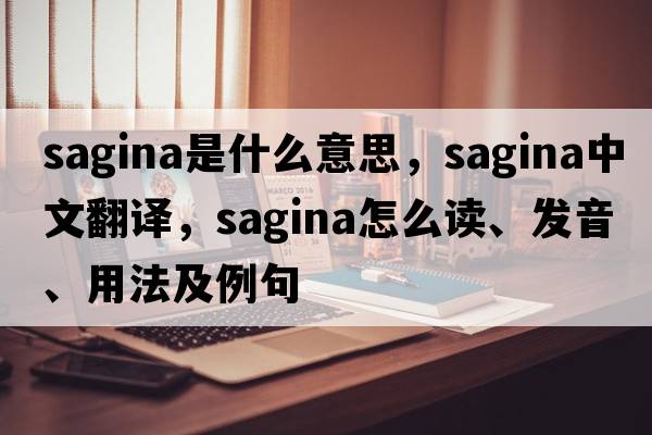 sagina是什么意思，sagina中文翻譯，sagina怎么讀、發(fā)音、用法及例句