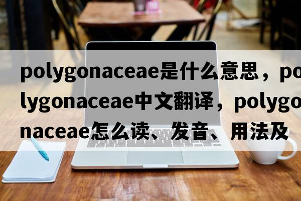 Polygonaceae是什么意思，Polygonaceae中文翻譯，Polygonaceae怎么讀、發(fā)音、用法及例句