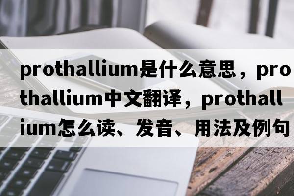 prothallium是什么意思，prothallium中文翻譯，prothallium怎么讀、發(fā)音、用法及例句
