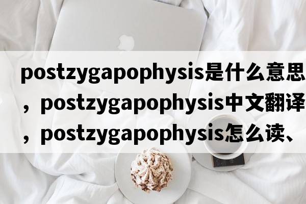 postzygapophysis是什么意思，postzygapophysis中文翻譯，postzygapophysis怎么讀、發(fā)音、用法及例句