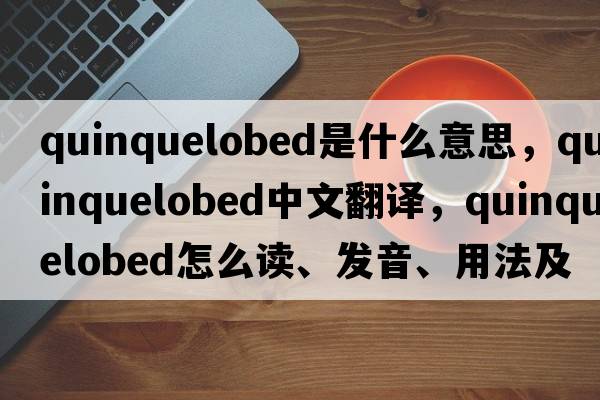 quinquelobed是什么意思，quinquelobed中文翻譯，quinquelobed怎么讀、發(fā)音、用法及例句