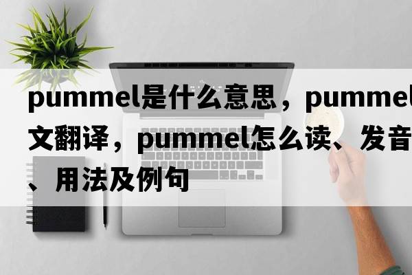 pummel是什么意思，pummel中文翻譯，pummel怎么讀、發(fā)音、用法及例句