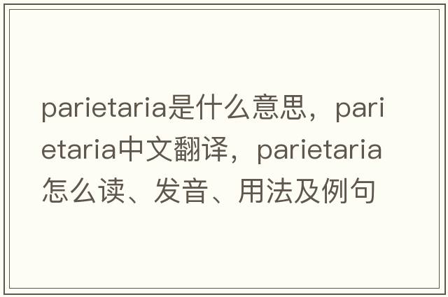 Parietaria是什么意思，Parietaria中文翻譯，Parietaria怎么讀、發(fā)音、用法及例句