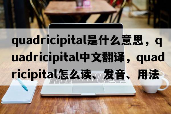 quadricipital是什么意思，quadricipital中文翻譯，quadricipital怎么讀、發(fā)音、用法及例句
