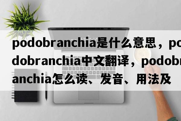 podobranchia是什么意思，podobranchia中文翻譯，podobranchia怎么讀、發(fā)音、用法及例句