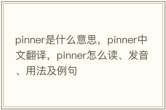 pinner是什么意思，pinner中文翻譯，pinner怎么讀、發(fā)音、用法及例句