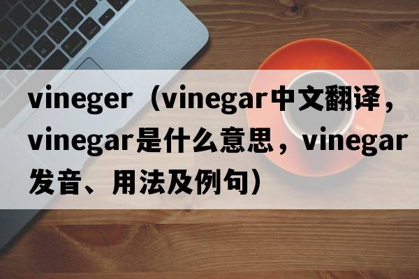 vineger（vinegar中文翻譯，vinegar是什么意思，vinegar發(fā)音、用法及例句）