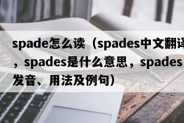 spade怎么讀（spades中文翻譯，spades是什么意思，spades發(fā)音、用法及例句）