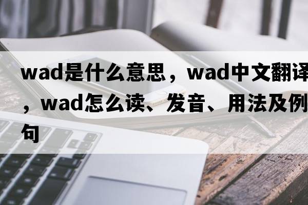 wad是什么意思，wad中文翻譯，wad怎么讀、發(fā)音、用法及例句