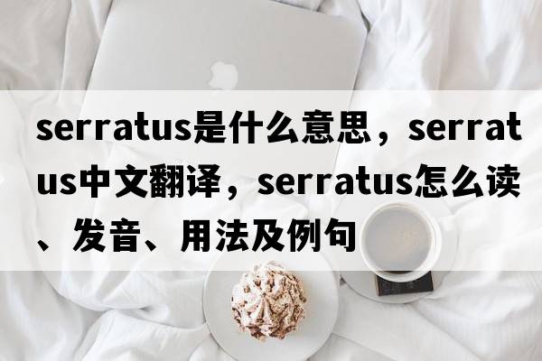 serratus是什么意思，serratus中文翻譯，serratus怎么讀、發(fā)音、用法及例句