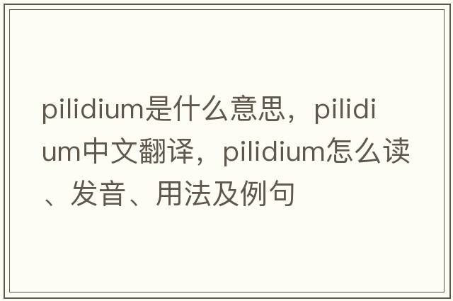 pilidium是什么意思，pilidium中文翻譯，pilidium怎么讀、發(fā)音、用法及例句