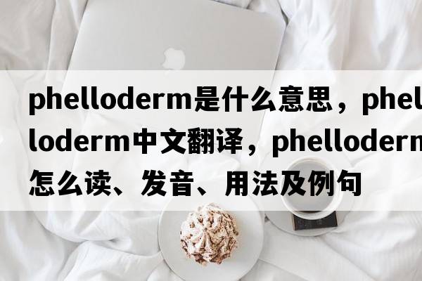 phelloderm是什么意思，phelloderm中文翻譯，phelloderm怎么讀、發(fā)音、用法及例句
