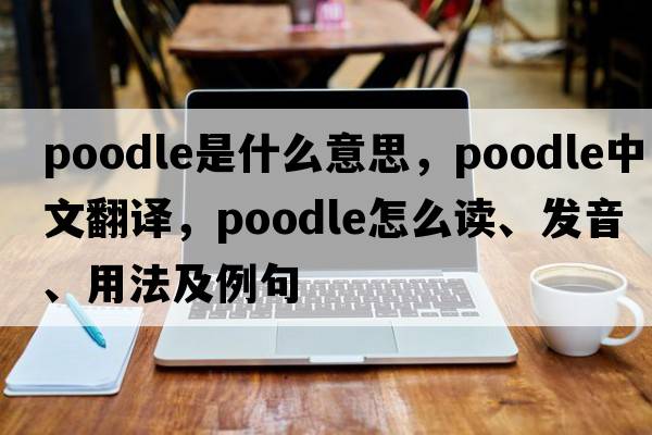 poodle是什么意思，poodle中文翻譯，poodle怎么讀、發(fā)音、用法及例句