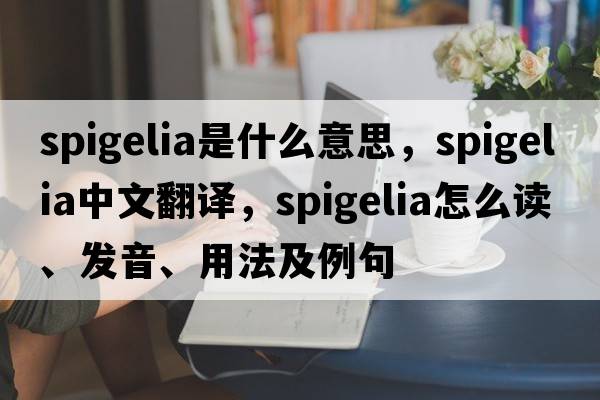 spigelia是什么意思，spigelia中文翻譯，spigelia怎么讀、發(fā)音、用法及例句
