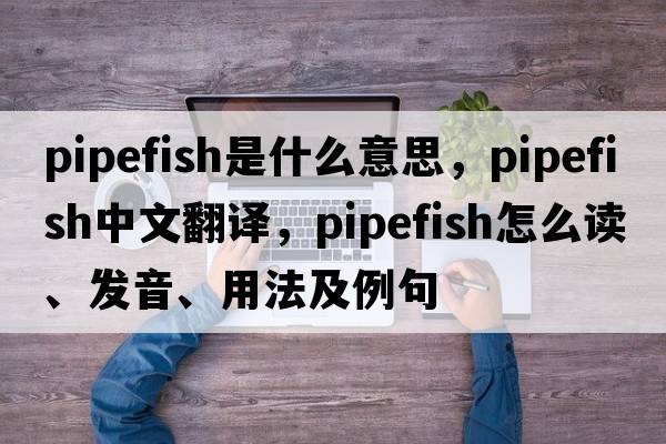 pipefish是什么意思，pipefish中文翻譯，pipefish怎么讀、發(fā)音、用法及例句