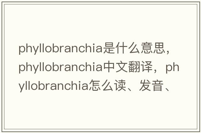 phyllobranchia是什么意思，phyllobranchia中文翻譯，phyllobranchia怎么讀、發(fā)音、用法及例句