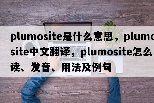 plumosite是什么意思，plumosite中文翻譯，plumosite怎么讀、發(fā)音、用法及例句