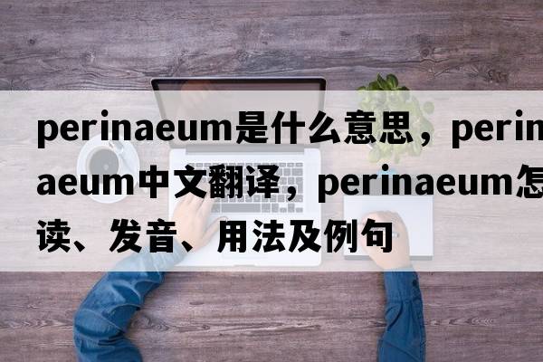 perinaeum是什么意思，perinaeum中文翻譯，perinaeum怎么讀、發(fā)音、用法及例句