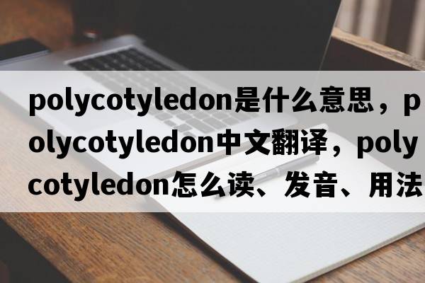 polycotyledon是什么意思，polycotyledon中文翻譯，polycotyledon怎么讀、發(fā)音、用法及例句