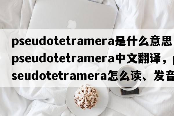 Pseudotetramera是什么意思，Pseudotetramera中文翻譯，Pseudotetramera怎么讀、發(fā)音、用法及例句