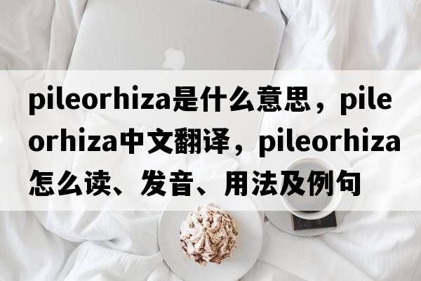 pileorhiza是什么意思，pileorhiza中文翻譯，pileorhiza怎么讀、發(fā)音、用法及例句