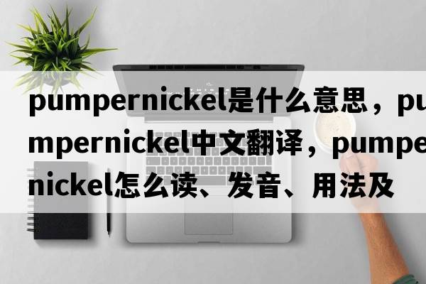 pumpernickel是什么意思，pumpernickel中文翻譯，pumpernickel怎么讀、發(fā)音、用法及例句