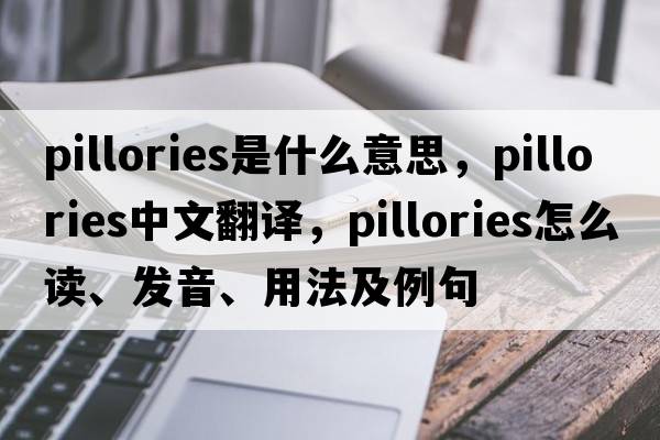 pillories是什么意思，pillories中文翻譯，pillories怎么讀、發(fā)音、用法及例句