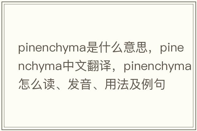 pinenchyma是什么意思，pinenchyma中文翻譯，pinenchyma怎么讀、發(fā)音、用法及例句