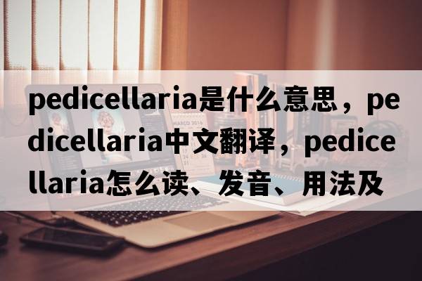 pedicellaria是什么意思，pedicellaria中文翻譯，pedicellaria怎么讀、發(fā)音、用法及例句