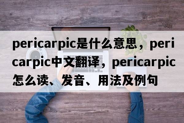 pericarpic是什么意思，pericarpic中文翻譯，pericarpic怎么讀、發(fā)音、用法及例句
